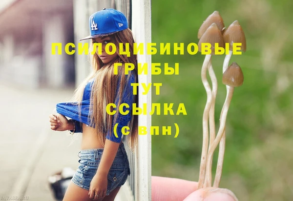 каннабис Аркадак